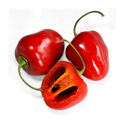 AJI ROCOTO 250 GRAMOS