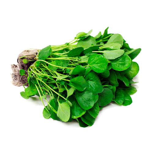 BERROS 500 GRAMOS