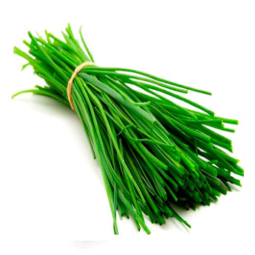 CIBOULETTE PQTE