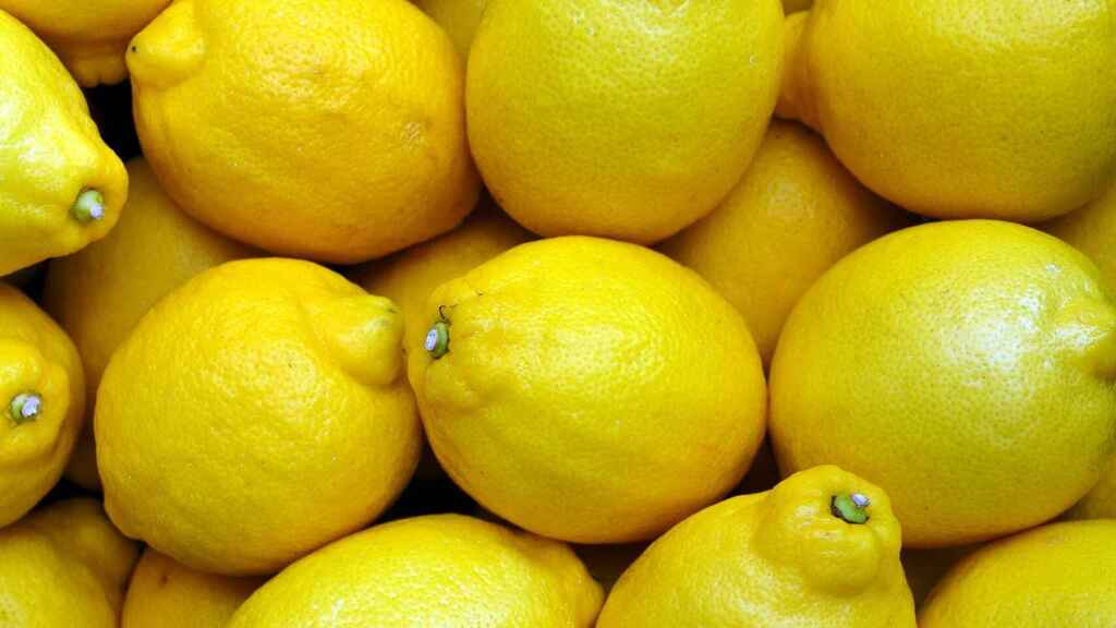 MALLA LIMON 17 KILOS