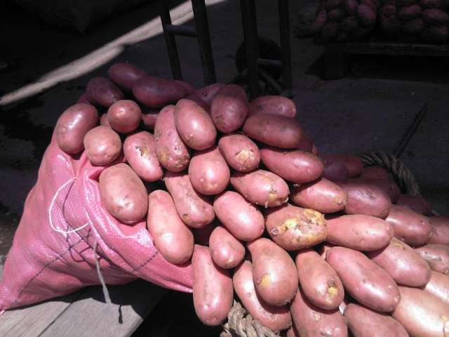 PAPAS LAVADA 25 KG