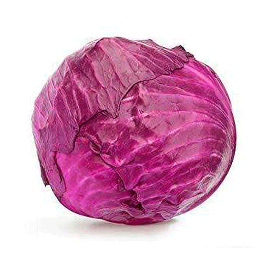 Repollo Morado