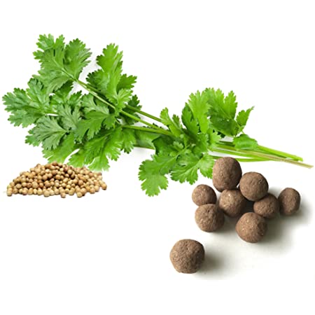 CILANTRO SEMILLA 250 GRAMOS