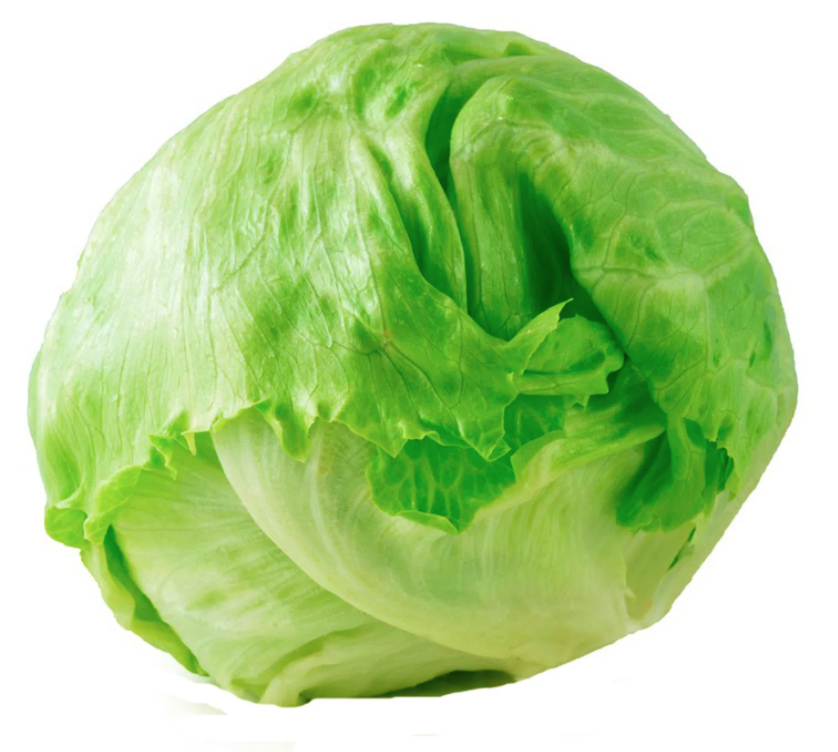 LECHUGA ESCAROLA 3 UND