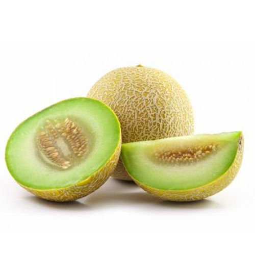 MELON TUNA