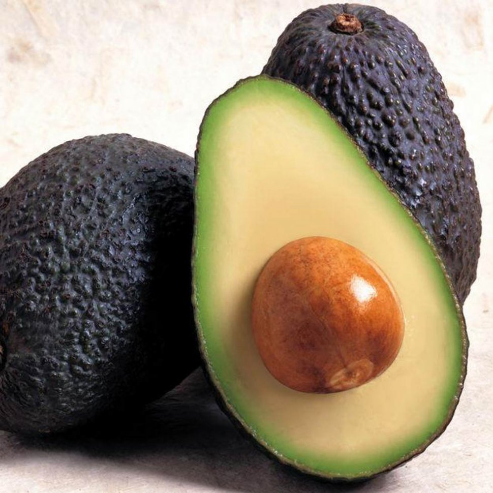 Base Jabón de Glicerina Coco-Palta Extra Plus
